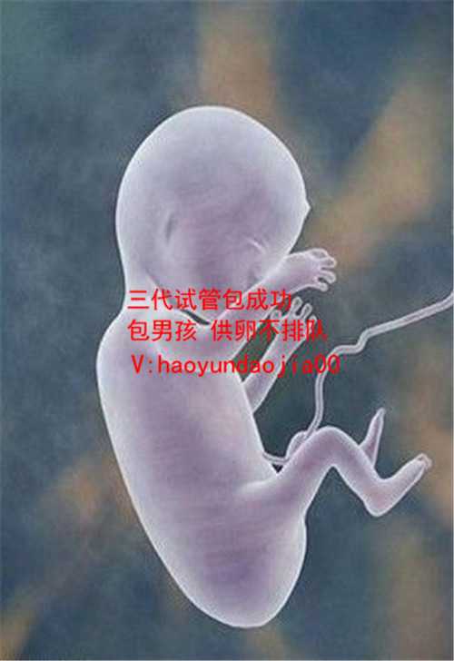 供卵试管哪家好_广州供卵试管婴儿最好医院_2020年最新泰国三代试管婴儿费用