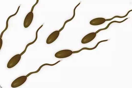 做试管婴儿男性是怎么取精子的？